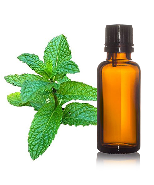 Mentha Oil IP